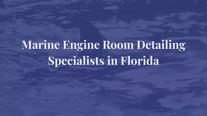 marine engine room detailing specialists