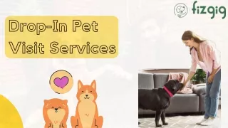 Trusted Drop-In Pet Visit Services for Your Loving Pets