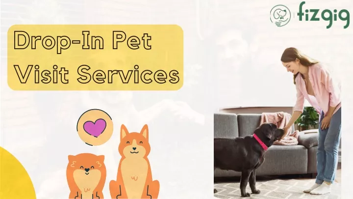 drop in pet visit services
