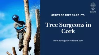 Tree surgeons in Midleton, Cork | Heritage Tree Care Ltd.
