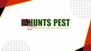 Pest Control March