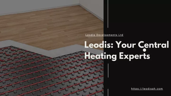 leodis developments ltd