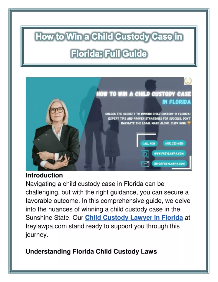 introduction navigating a child custody case