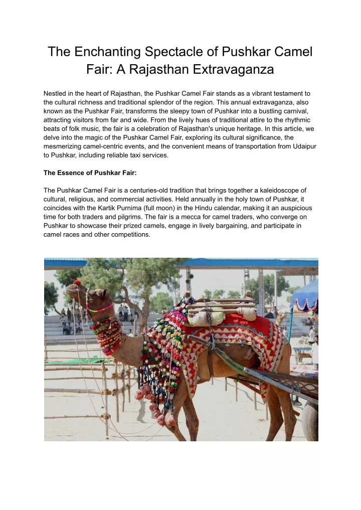 the enchanting spectacle of pushkar camel fair
