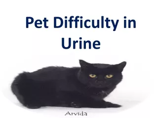 Pet Difficulty in Urine