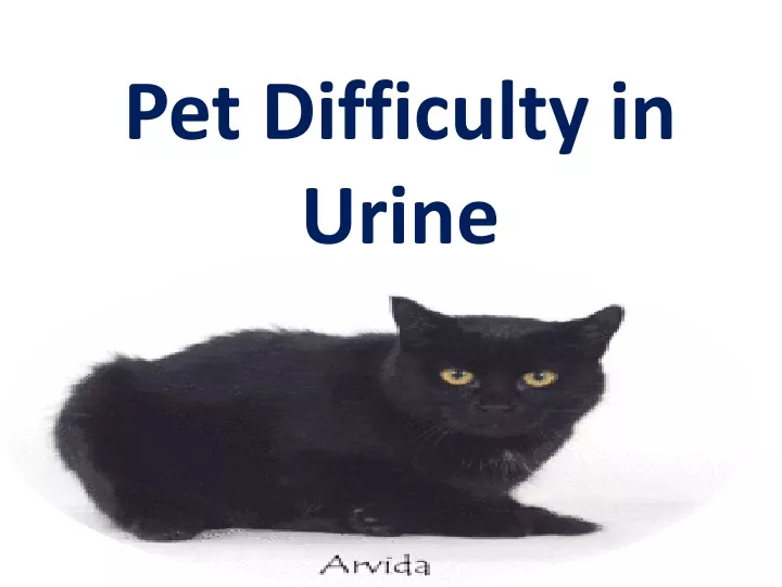 pet difficulty in urine