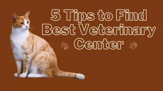 5 Tips to Find Best Veterinary Center