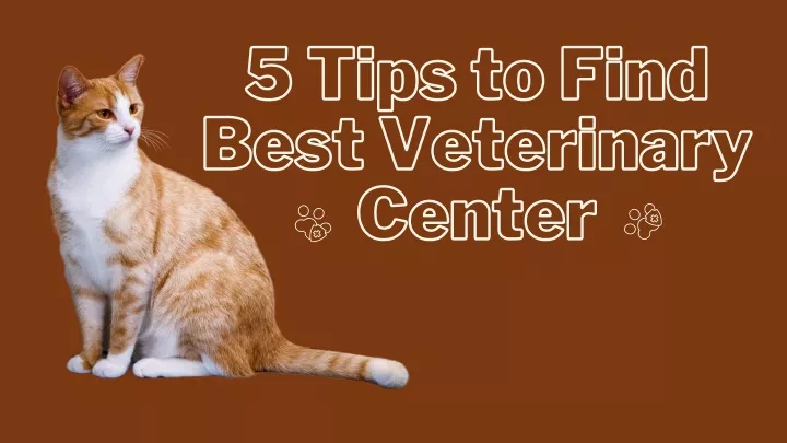 5 tips to find best veterinary center