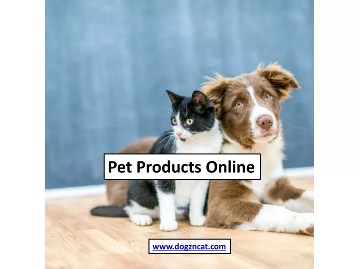 pet products online