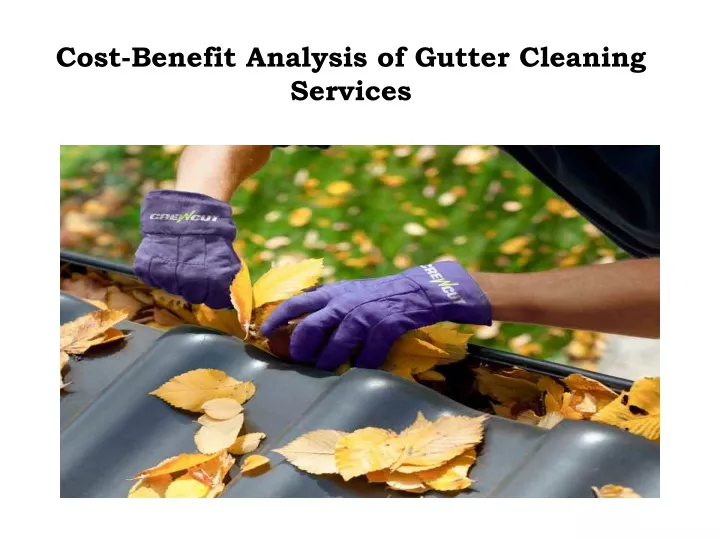 cost benefit analysis of gutter cleaning services