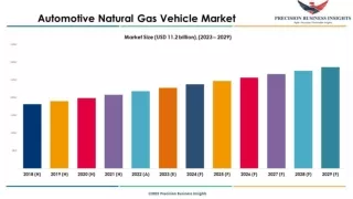 Automotive Natural Gas Vehicle Market Insights and Analysis 2023