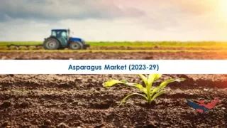 Asparagus Market Regional Analysis and Growth Prospects 2023