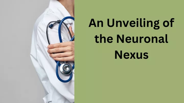 an unveiling of the neuronal nexus