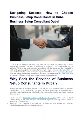 NavigatinBusiness setup consultants in Dubaig Success (2)