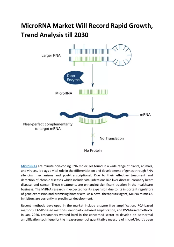 microrna market will record rapid growth trend