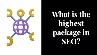 What is the highest package in SEO