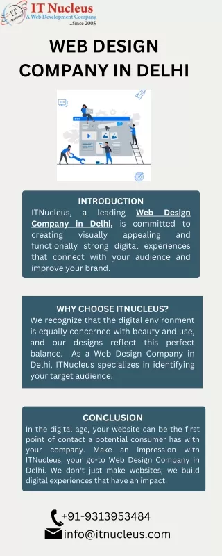 web design company in delhi