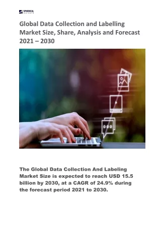 Global Data Collection and Labelling Market