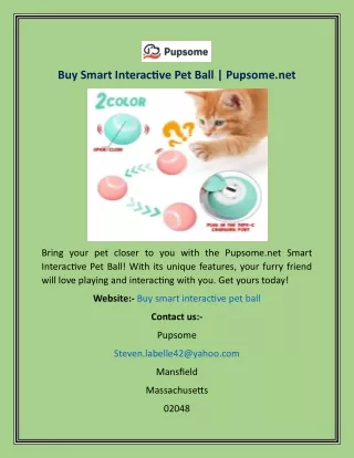 Buy Smart Interactive Pet Ball  Pupsome.net