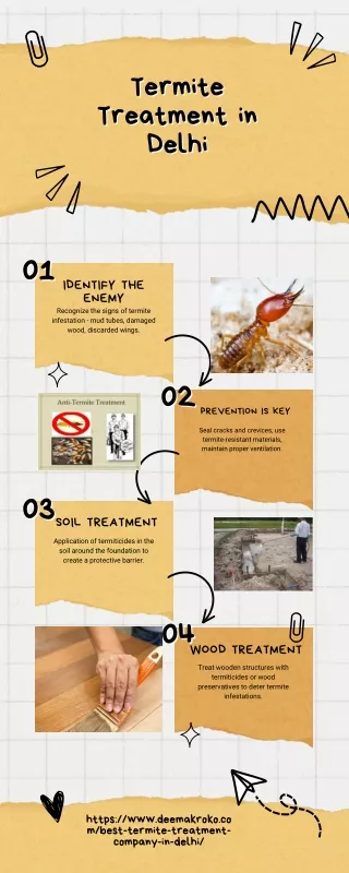 Termite Treatment in Delhi