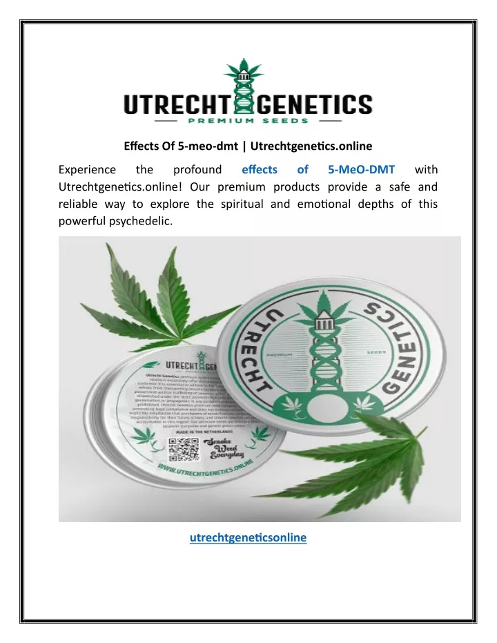 effects of 5 meo dmt utrechtgenetics online