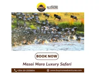 Embark on an Unforgettable Adventure: The Masai Mara Luxury Safari