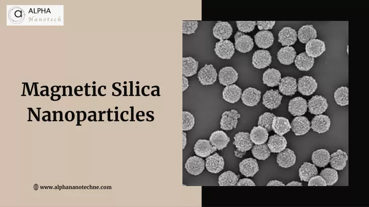magnetic silica nanoparticles