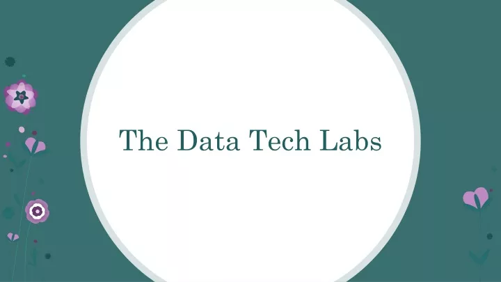 the data tech labs