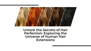 Hair Perfection Discover the World of Human Hair Extensions