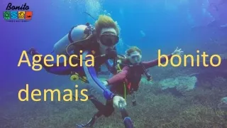 melhores agencias de viagem