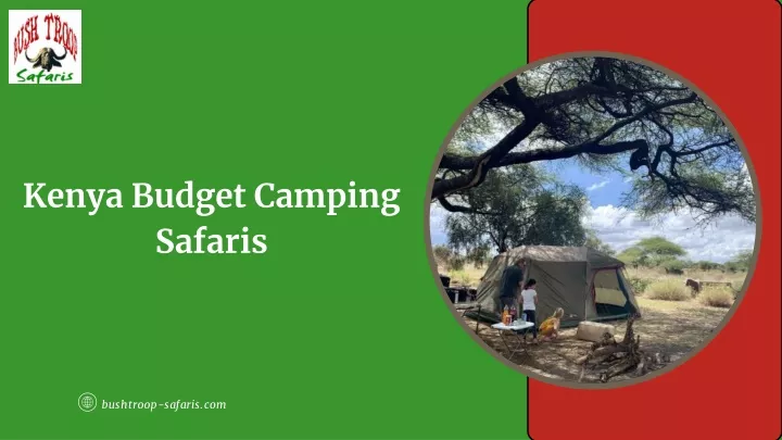 kenya budget camping safaris