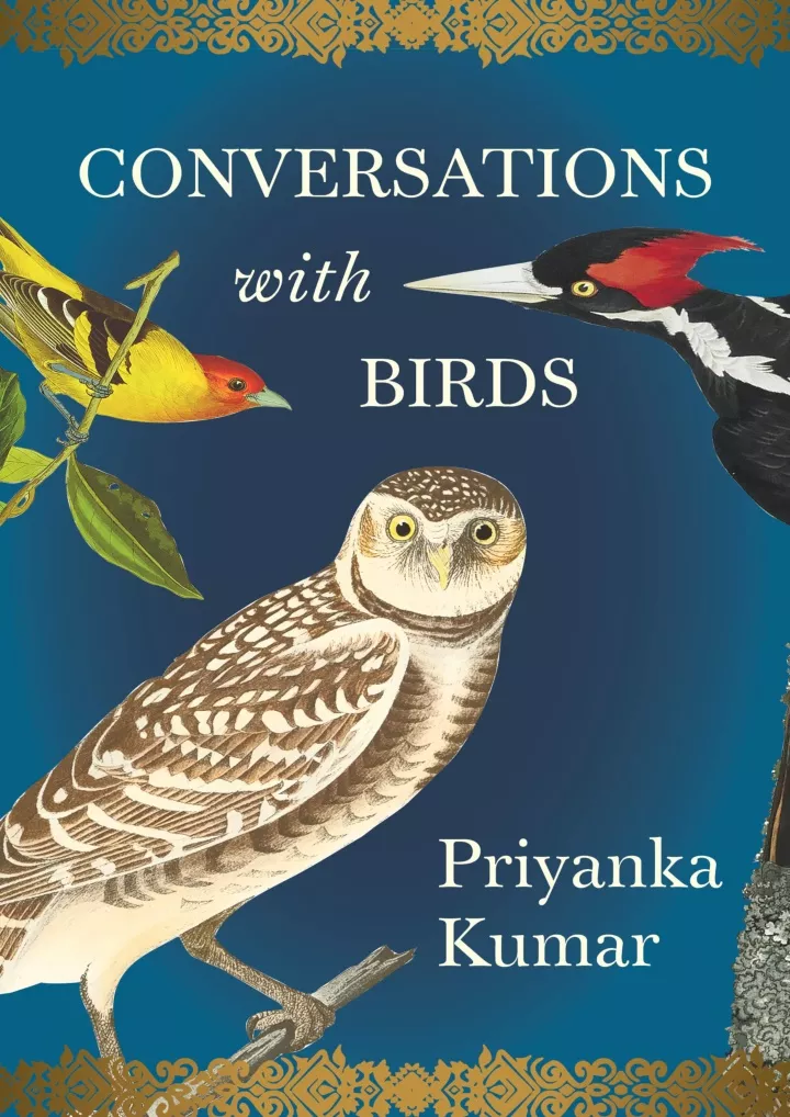 pdf download conversations with birds download