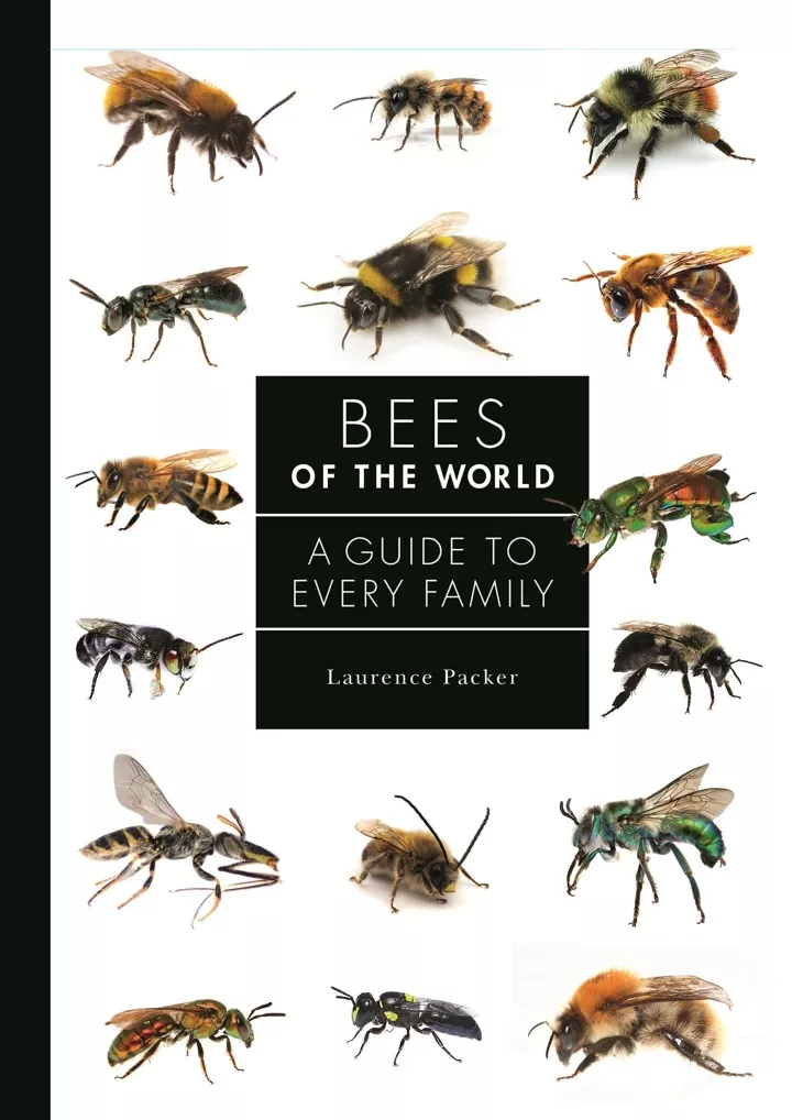 read pdf bees of the world a guide to every
