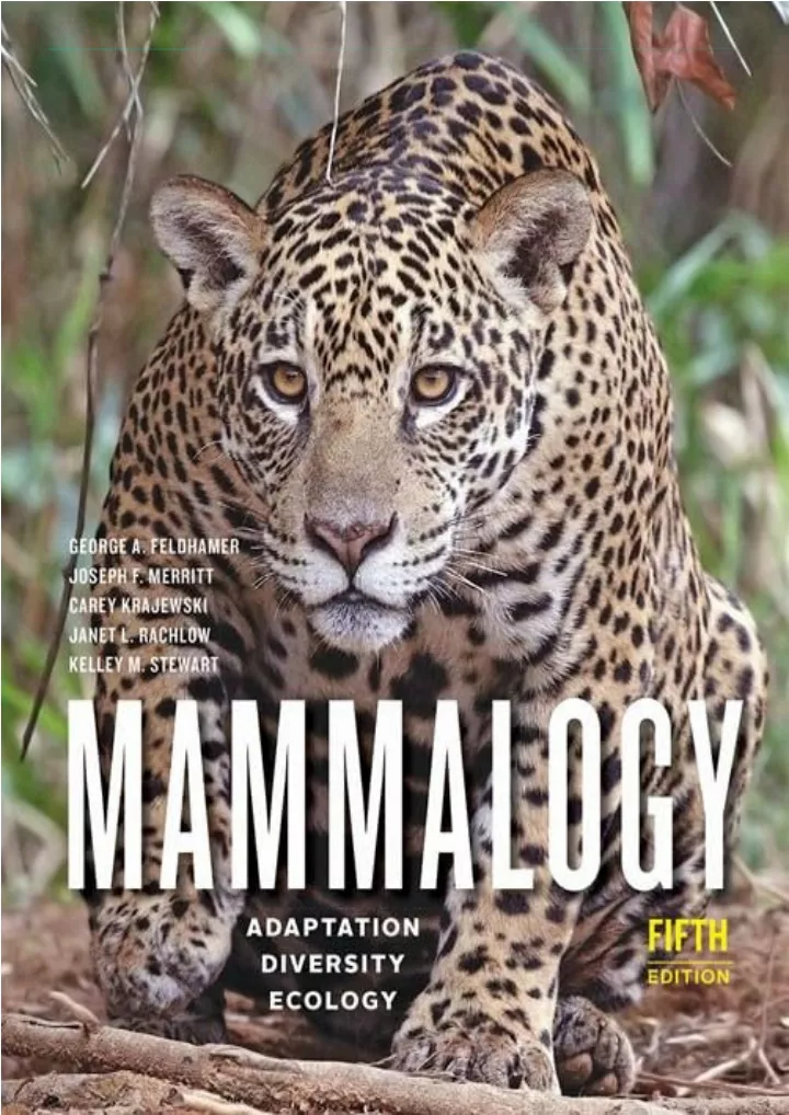 read pdf mammalogy adaptation diversity ecology