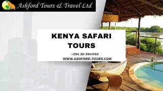 Are You Considering the Kenya Safari Tours For Adventure?