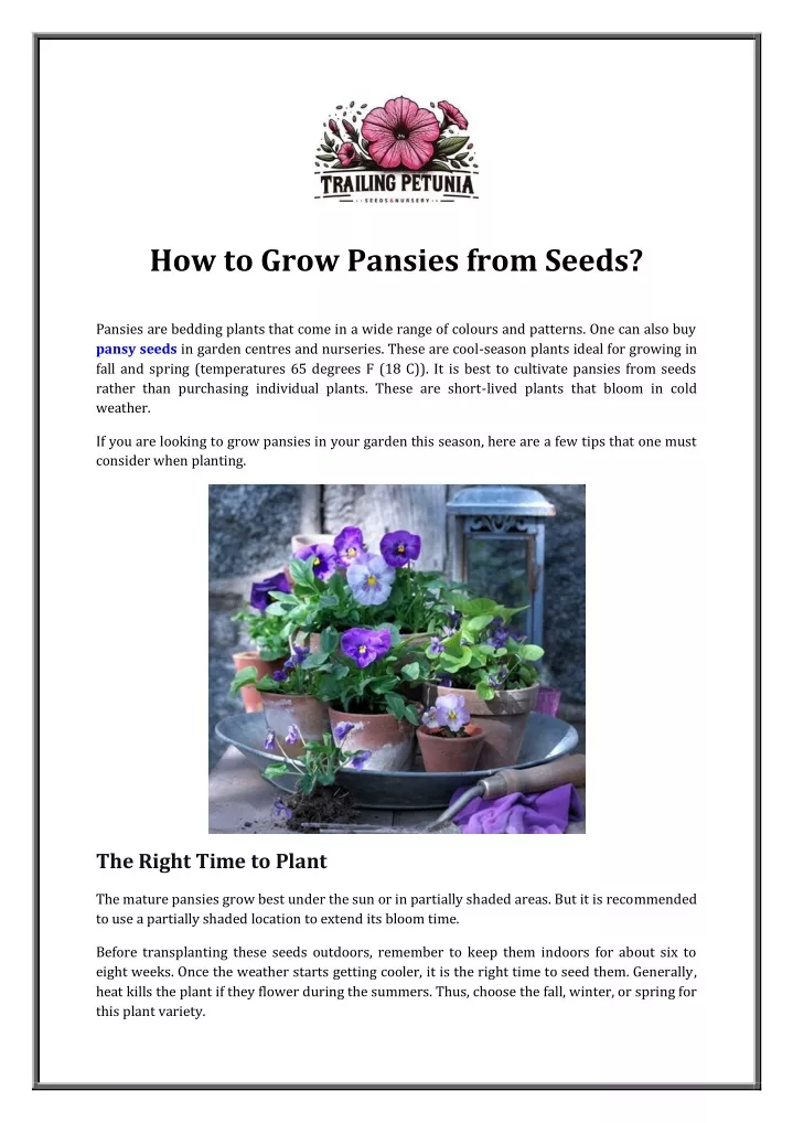 how to grow pansies from seeds