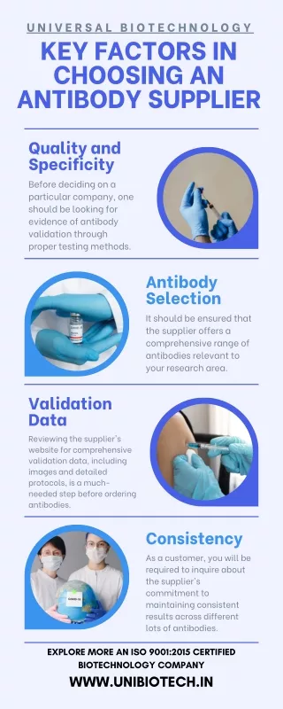 Key Factors in Choosing an Antibody Supplier