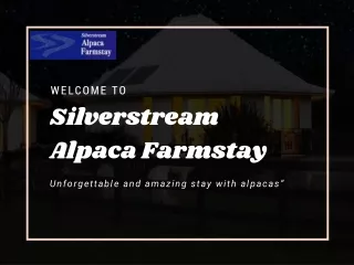 Silverstream Alpaca Farmstay