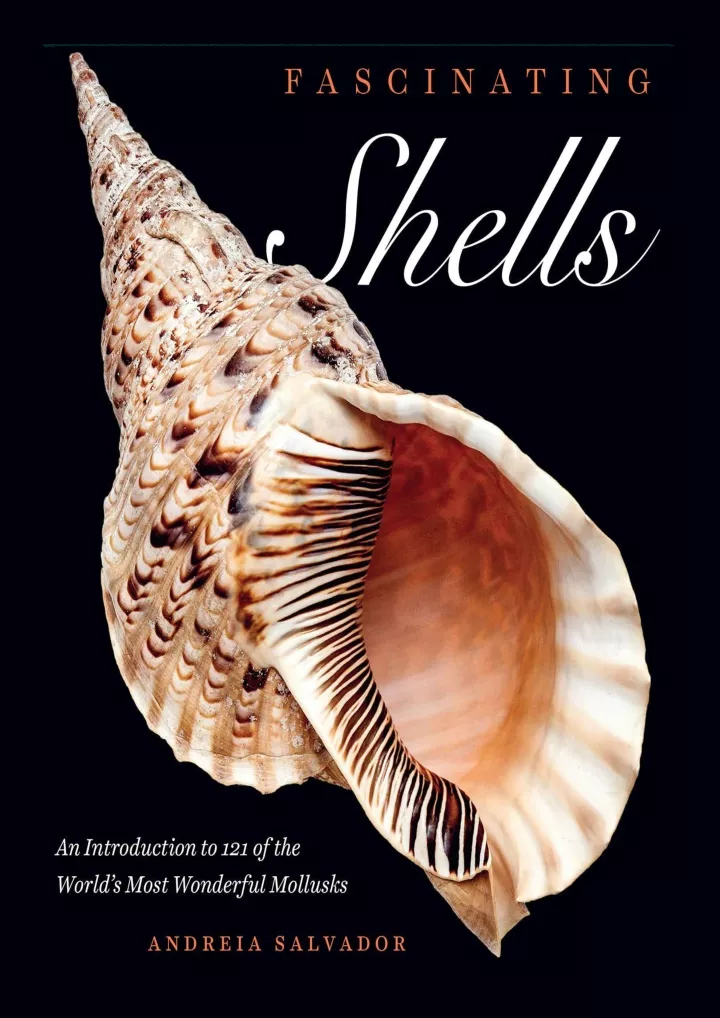 get pdf download fascinating shells