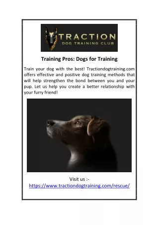 Training Pros: Dogs for Training