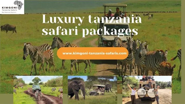 luxury tanzania safari packages