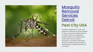 Effective Mosquito Control: Professional Pest Management in Detroit