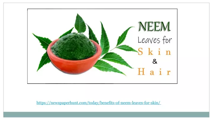 https newspaperhunt com today benefits of neem
