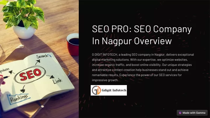 seo pro seo company in nagpur overview