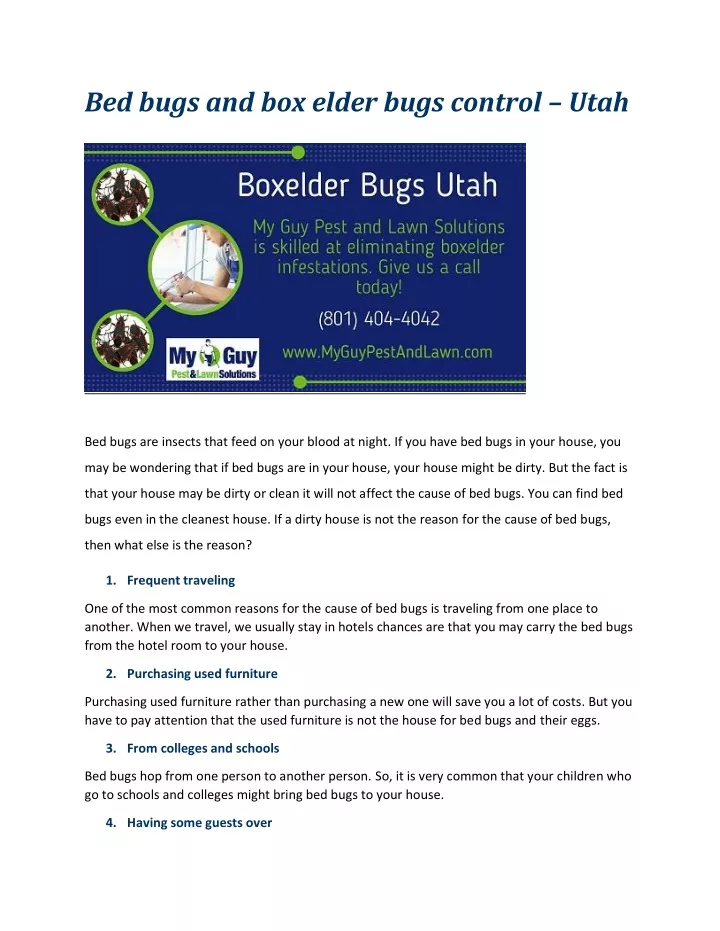 bed bugs and box elder bugs control utah