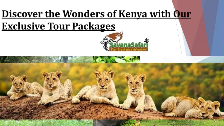 discover the wonders of kenya with our exclusive