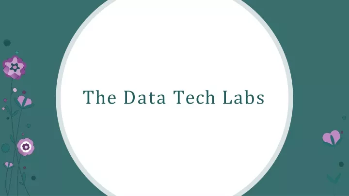 the data tech labs