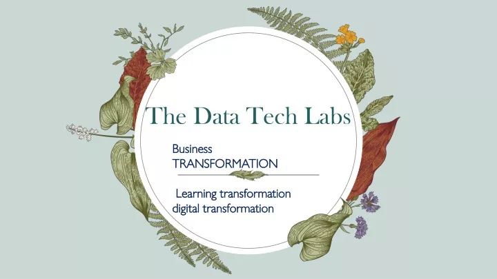 the data tech labs