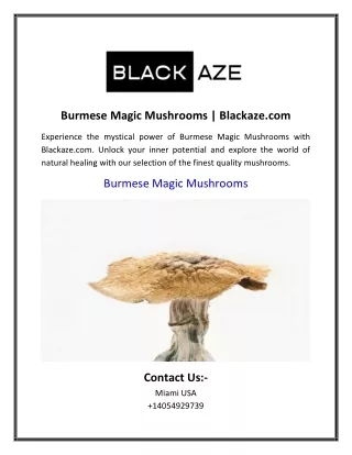 Burmese Magic Mushrooms | Blackaze.com