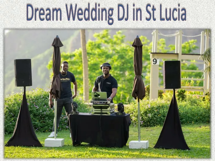dream wedding dj in st lucia